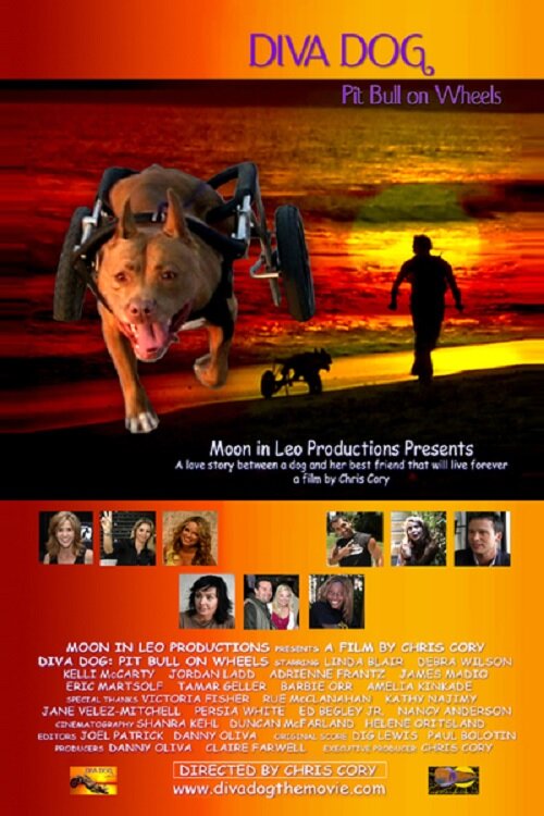 Diva Dog: Pit Bull on Wheels (2005)