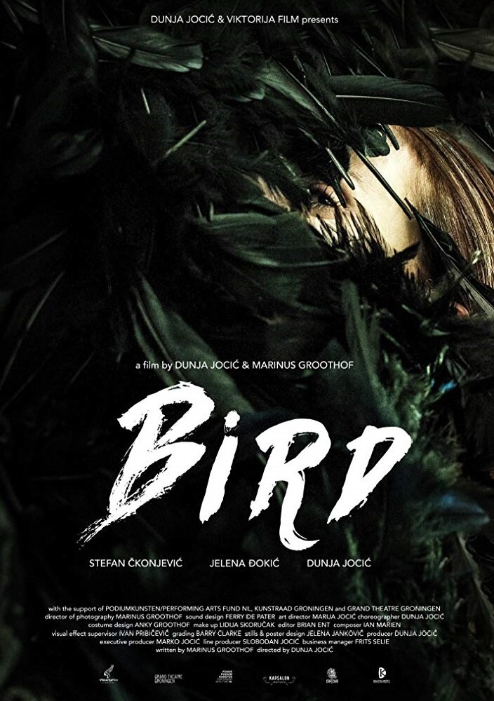 Bird (2015)