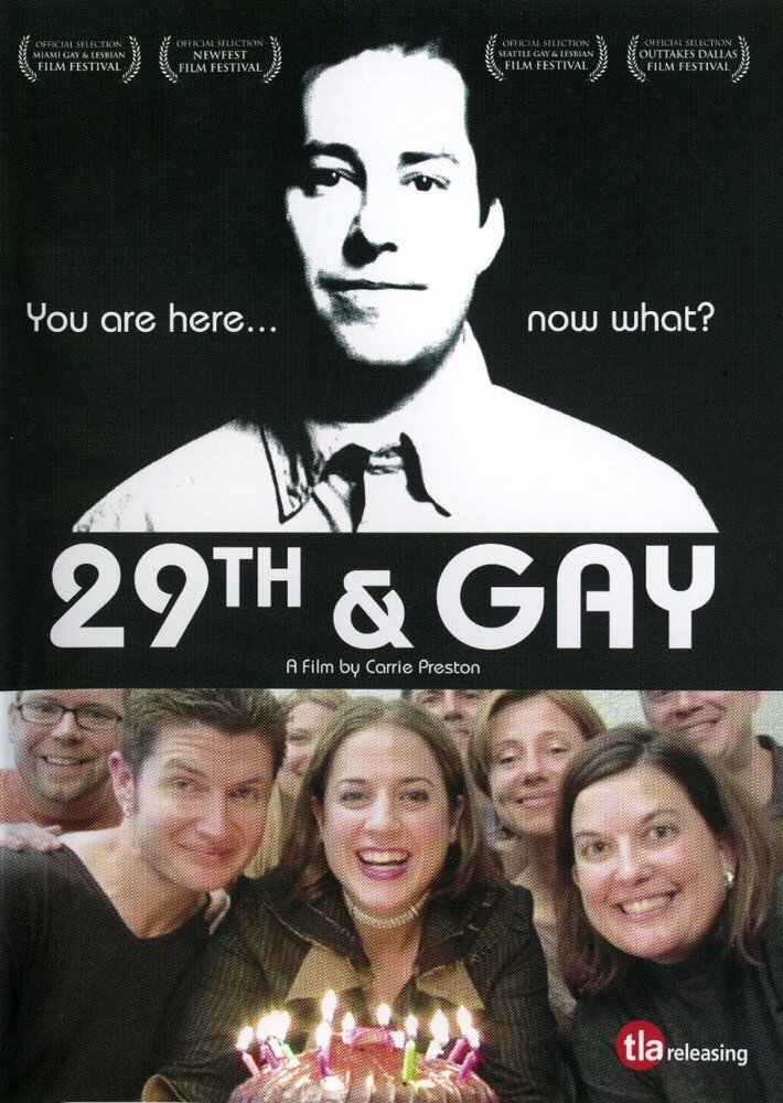 Двадцатидевятилетие гея (2005)